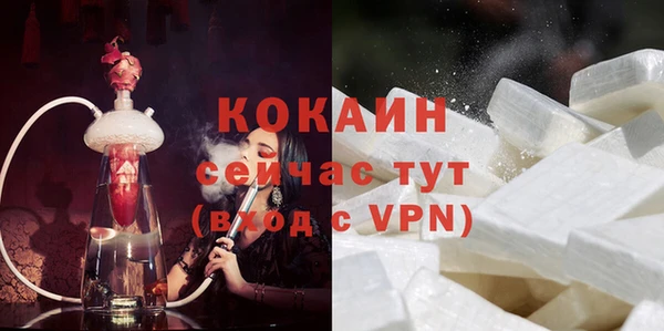 твердый Богданович