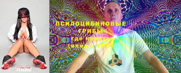 скорость Богородск