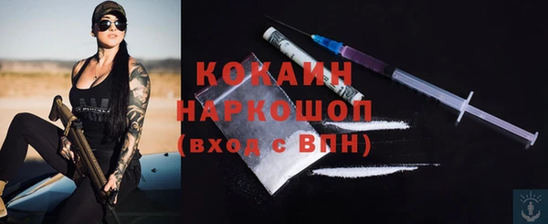 твердый Богданович