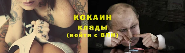 твердый Богданович