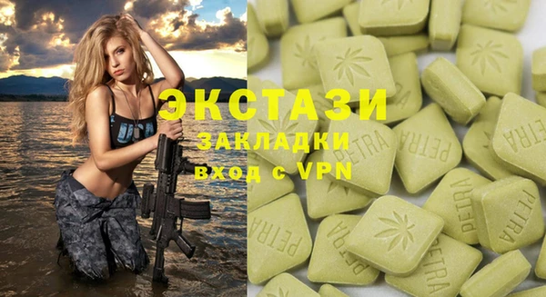 твердый Богданович
