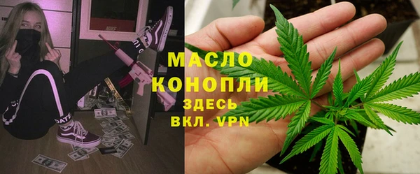 твердый Богданович