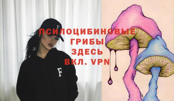 твердый Богданович
