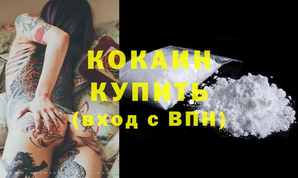 твердый Богданович